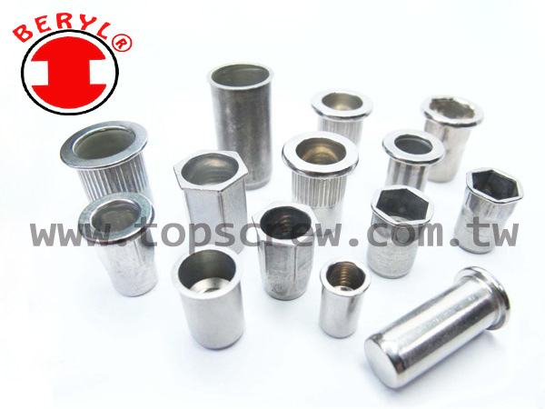 BLIND RIVET NUT SERIES-2-topscrew.jpg