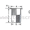 BLIND RIVET NUT-TSBS-topscrew.jpg