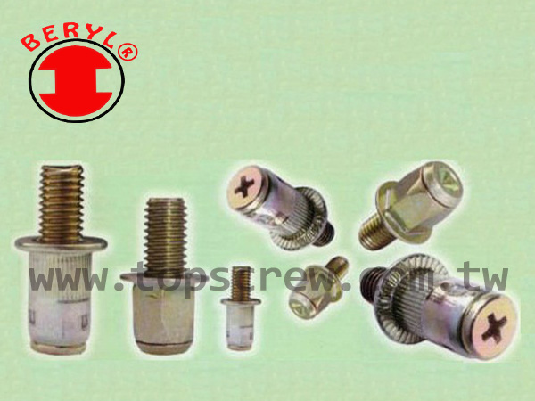 BOLT RIVET NUT-2-topscrew.jpg