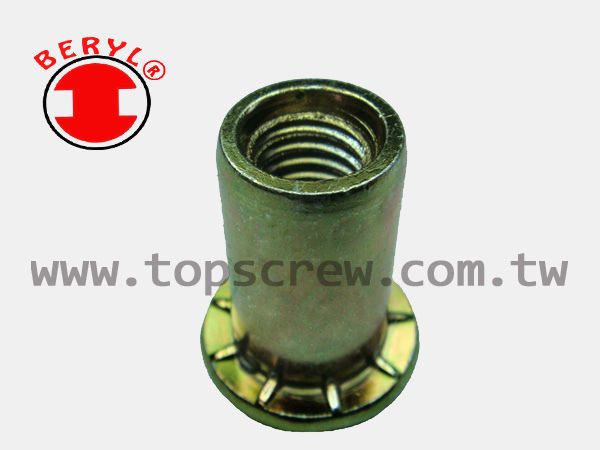 SPECIAL BLIND RIVET NUT SERIES-2-topscrew.jpg