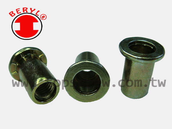 SPECIAL BLIND RIVET NUT SERIES-3-topscrew.jpg