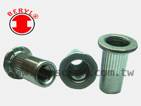 SPECIAL BLIND RIVET NUT SERIES-7-topscrew.jpg