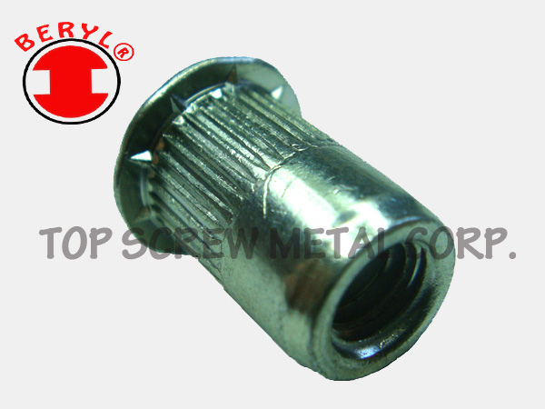 SPECIAL BLIND RIVET NUT SERIES-9-topscrew.jpg