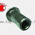 SPECIAL BLIND RIVET NUT SERIES-10-topscrew.jpg