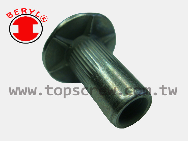 SPECIAL BLIND RIVET NUT SERIES-12-topscrew.jpg