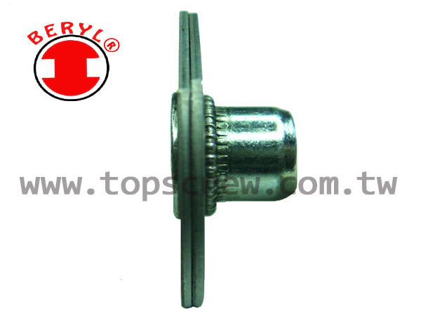 SPECIAL BLIND RIVET NUT-SPLINED4-topscrew.jpg