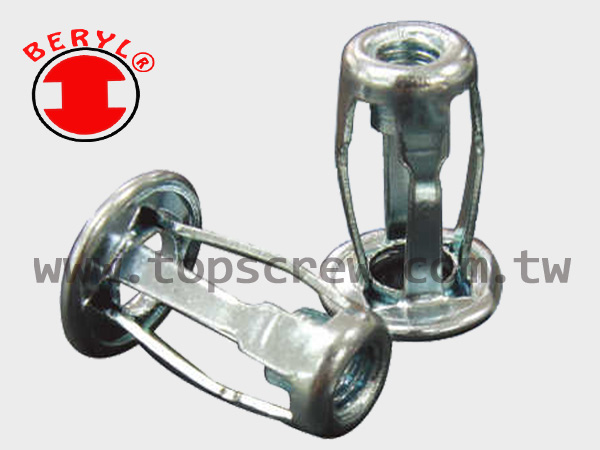 BLIND JACK NUT SERIES-1-topscrew.jpg