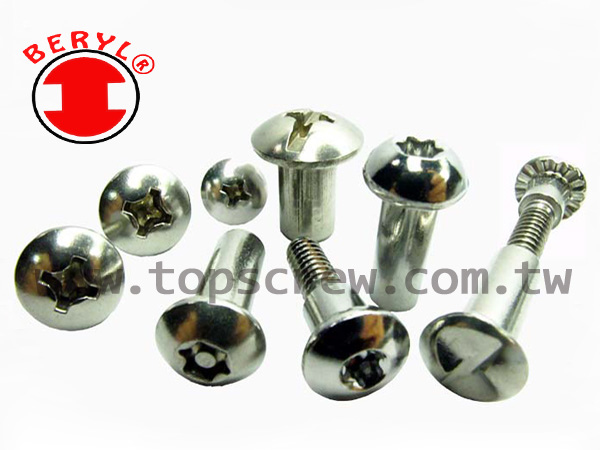 SECURITY FASTENER SERIES-topscrew.jpg