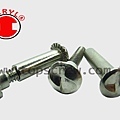 ONE WAY SERIES-1-topscrew.jpg