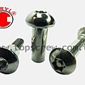 SIX LOBE SERIES-topscrew.jpg