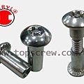 SIX LOBE-1-topscrew.jpg