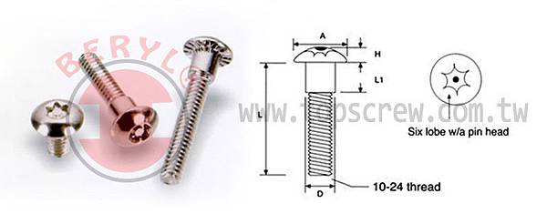 SIX LOBE-MALE DRAWING-topscrew.jpg