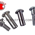 TRUSS COMBO HEAD POST SCREW-1-topscrew.jpg