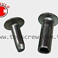 MALE FEMALE RIVET-STEEL-topscrew.jpg