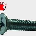 ARCHITECTURAL SEX BOLTS-SCREW-topscrew.jpg