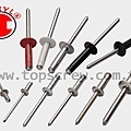 BLIND RIVET SERIES-1-topscrew.jpg