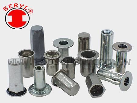 BLIND RIVET NUT SERIES-3-topscrew.jpg