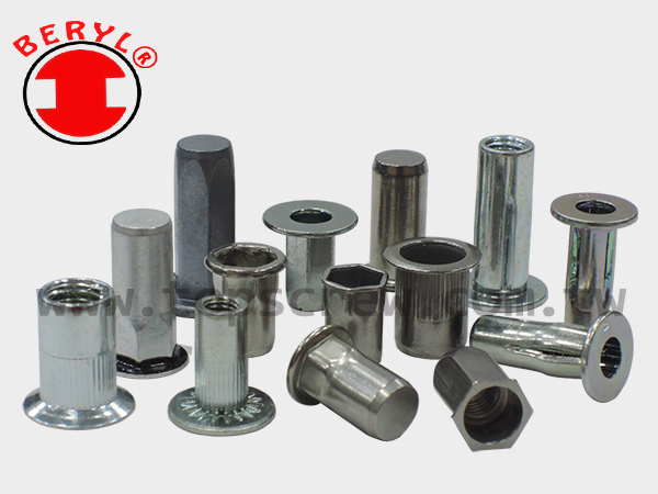 BLIND RIVET NUT SERIES-4-topscrew.jpg