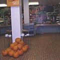 Campus cafteria.JPG