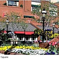 Writer square.JPG