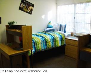 On campus student residence bed.JPG