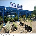 ELS Las Vegas Plant nusery.JPG