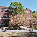 Science building.JPG