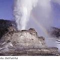 old faithful.JPG
