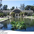 Balboa park pond.JPG