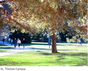St. Thomas campus.JPG