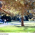St. Thomas campus.JPG