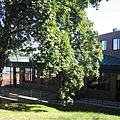05.JPG