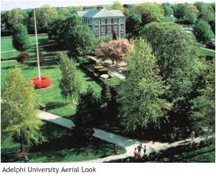 Adelphi University aerial look.JPG