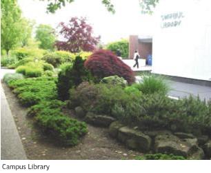 Campus Library.JPG