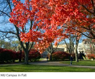 NIU campus in Fall.JPG