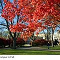 NIU campus in Fall.JPG