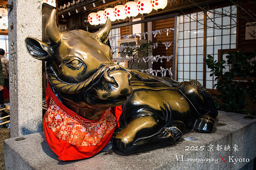 錦天滿寺-金牛