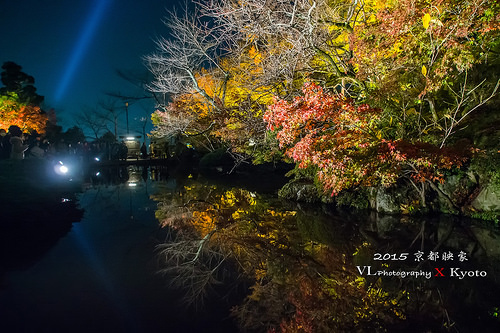 清水寺夜楓倒影