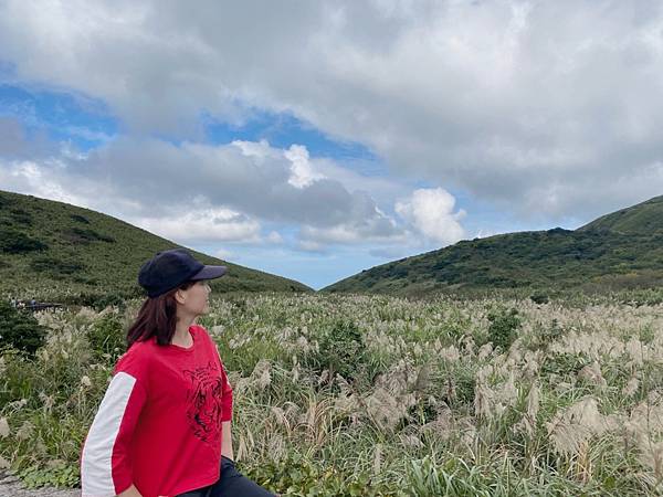 ,台北,陽明山,七星山,小油坑,芒花,花季,賞芒,登山,健行,步道,小百岳,花海,打卡,