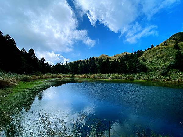 夢幻湖,陽明山,寂靜山徑,冷水坑,七星山,臺灣水韭,陽明山國家公園,台北,士林區