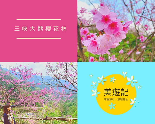三峽大熊櫻花林,三峽長福巖,三峽老街,行修宮,吉野櫻,臺灣八重櫻,福爾摩沙櫻,台北,三峽,大熊櫻花林,櫻花,賞櫻,秘境