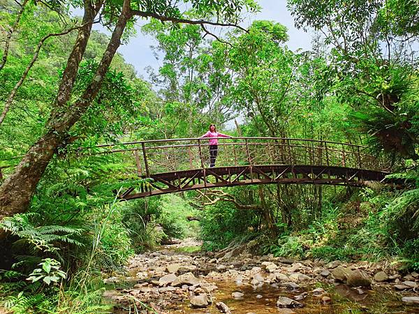 ,新北,坪林區,步道,金瓜寮魚蕨步道,森林,百岳,瀑布,吊橋,