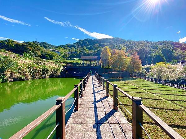 台北,貓空,文山區,郊山步道,台北景點