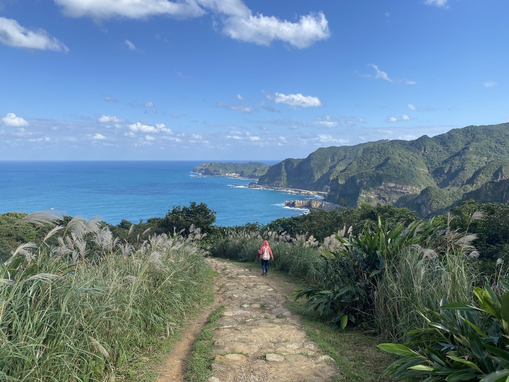 沉澱之後再出發｜5條洗滌身心、回歸正面的步道