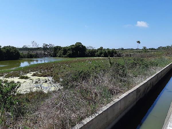 20200503_140446.jpg 20200503_140446.jpg