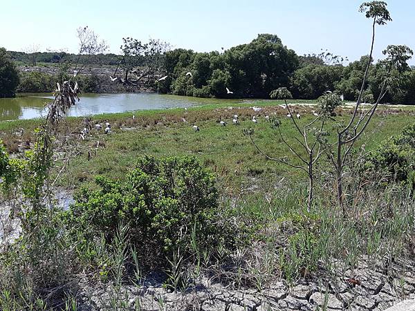 20200503_140505.jpg 20200503_140505.jpg