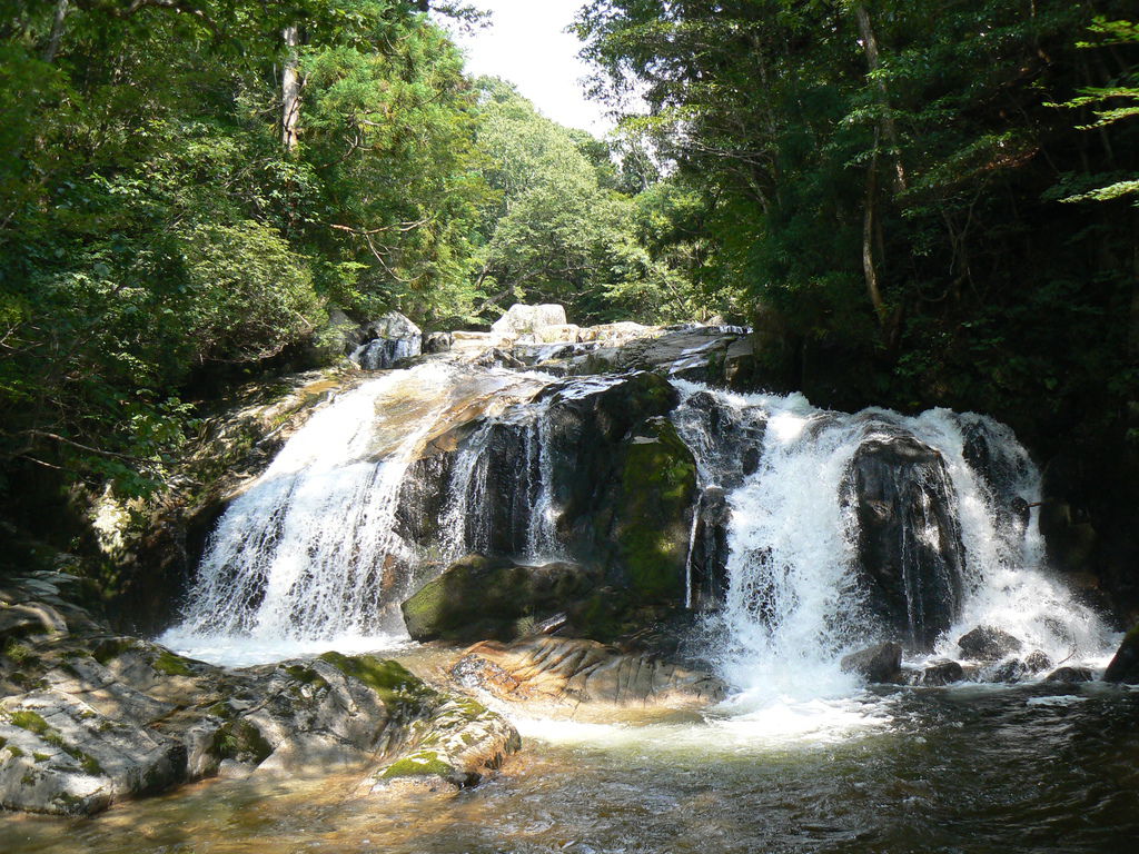 4734.jpg 4734.jpg
