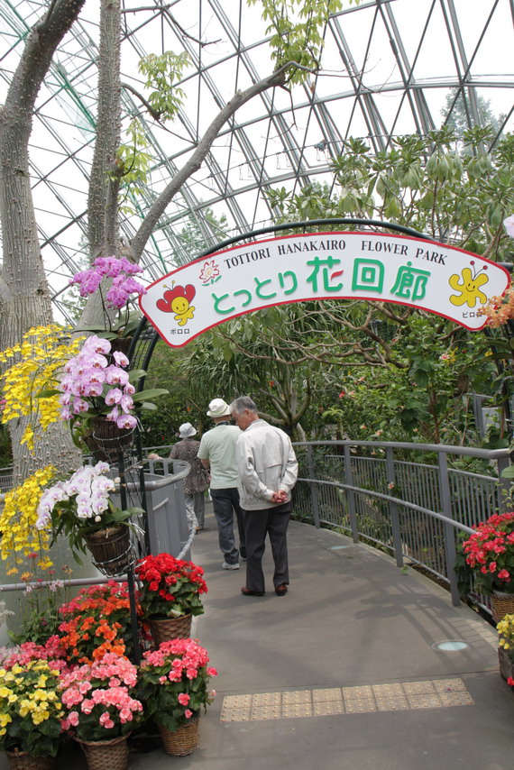 【賞花】鳥取花迴廊