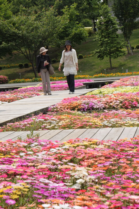 【賞花】鳥取花迴廊