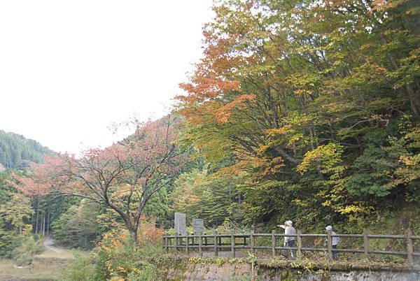 鳥取紅葉秘境 Toripy帶你遊鳥取 痞客邦 鳥取紅葉秘境 Toripy帶你遊鳥取 痞客邦